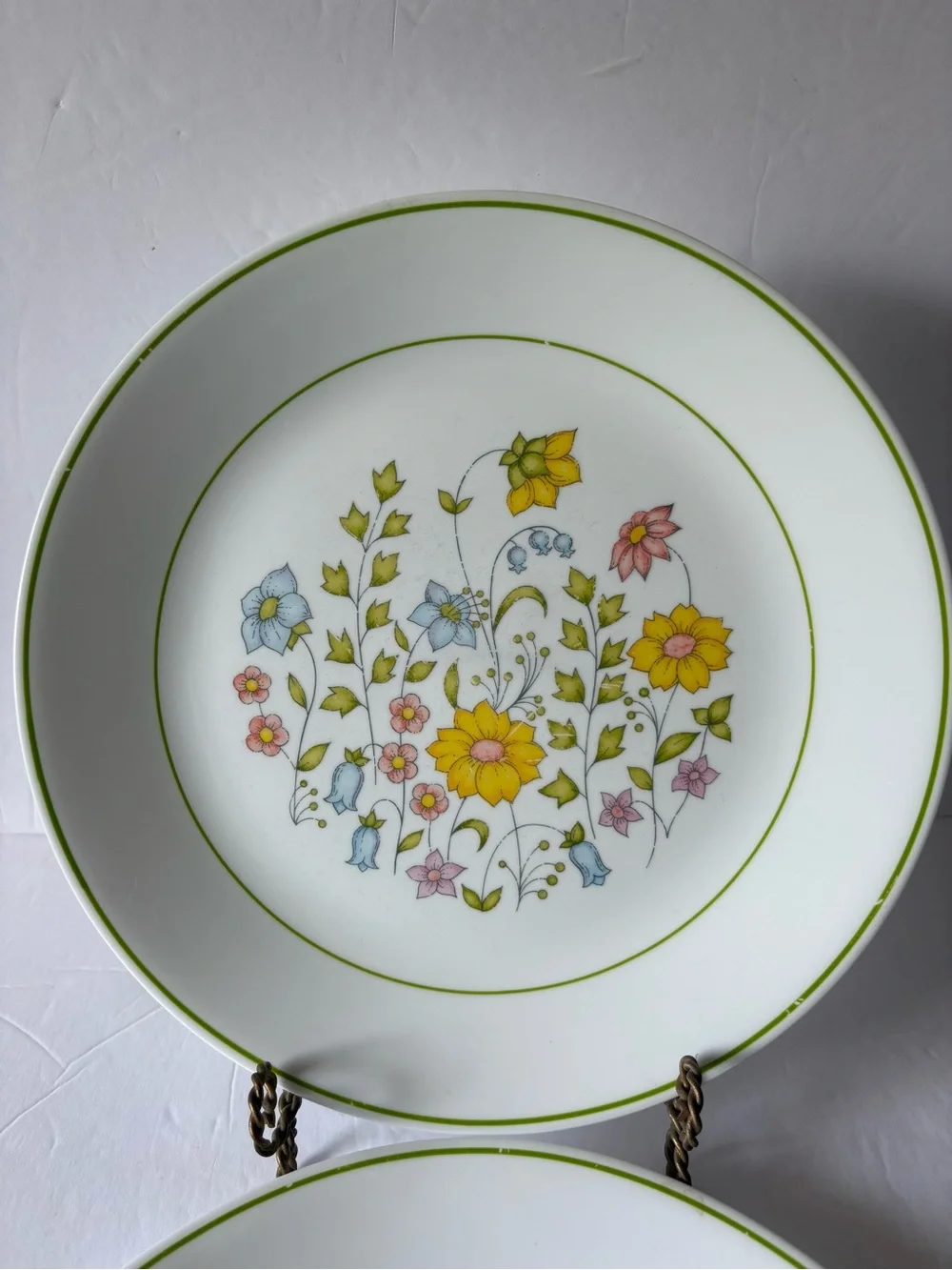 Corelle Spring Meadow Floral Dinner Plates 10.25” set of 2
